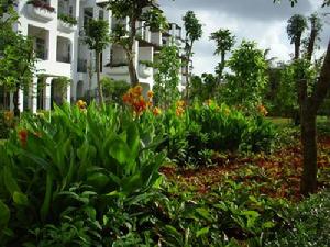 候鳥族家居環境