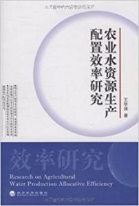 農業水資源生產配置效率研究