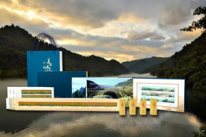 《美麗中國》[郵票冊]