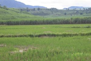 弄萊自然村 弄萊自然村