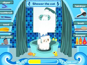 可愛貓咪寵物 可愛貓咪寵物