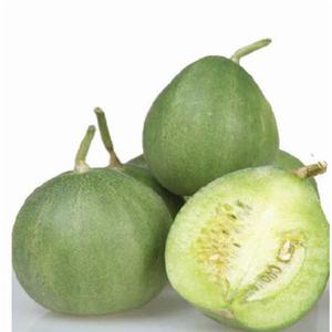 樂亭甜瓜 樂亭甜瓜