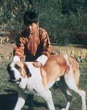 吉格梅·辛格·旺楚克小時候的寵物