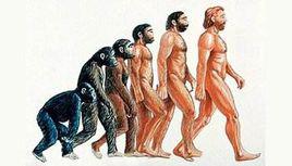 人類的進化[進化論歷史]