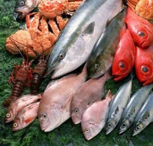 海產品 海產品