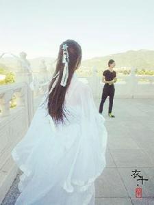 背影殺手 背影殺手