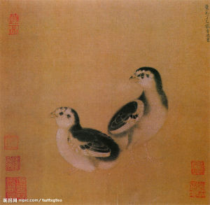 雞雛待飼圖 雞雛待飼圖