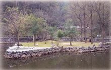 三嶺灣獼猴觀賞園