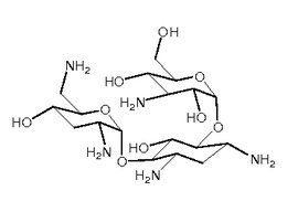 慶大黴素 慶大黴素