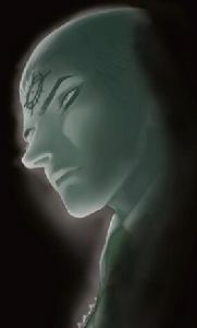 肖[趙佳黑血主要角色之一]