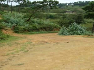 丙董自然村 丙董自然村