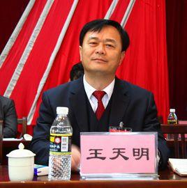 王天明[大連理工大學教授]