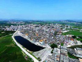 潭頭村[廣東省陸豐市南塘鎮]