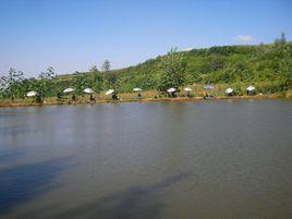 二里村[山東青島市藍村鎮下轄村]