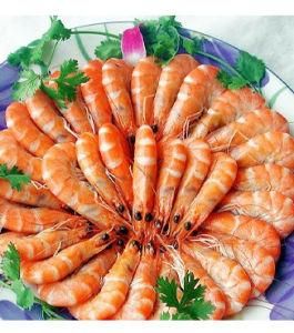 鹽水蝦 鹽水蝦