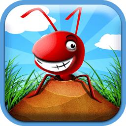 口袋螞蟻 口袋螞蟻