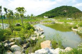 尖山新區 尖山新區