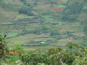 龍塘山村 龍塘山村