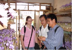 建德市三都西紅花專業合作社 建德市三都西紅花專業合作社