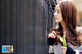 誰撿到我的夢 誰撿到我的夢