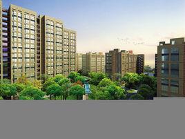 西港新界 西港新界