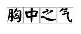 胸中之氣 胸中之氣
