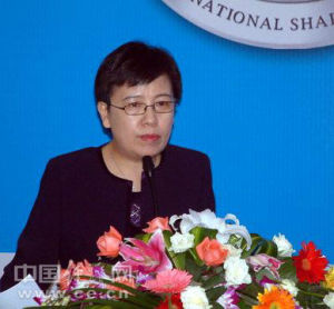 魯昕[中央新疆辦副主任]