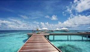 馬爾地夫鑽石泰達富士島 馬爾地夫鑽石泰達富士島