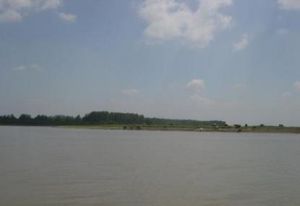 西洞庭湖青山湖濕地公園 西洞庭湖青山湖濕地公園