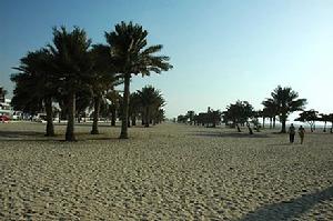 （圖）乾旱氣候