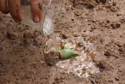 土壤無機物污染