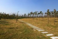 鹽城天山公園高清大圖