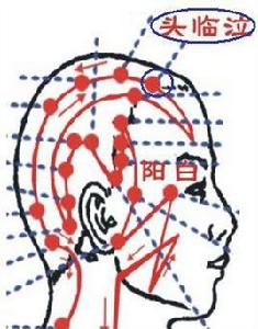頭臨泣穴 頭臨泣穴