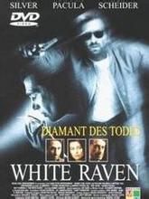 沉默的烏鴉 沉默的烏鴉