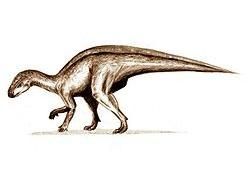 似凹齒龍 似凹齒龍