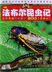法布爾昆蟲記:蝗蟲 法布爾昆蟲記:蝗蟲