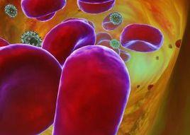 冠脈通絡軟膠囊 冠脈通絡軟膠囊