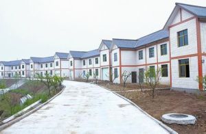 中橋社區 中橋社區