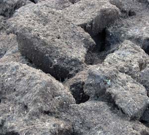 馬里埃爾共和國