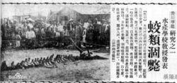 1934年營川墜龍事件龍骨圖片
