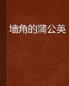 牆角的蒲公英 牆角的蒲公英