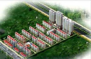 五月藍岸 五月藍岸