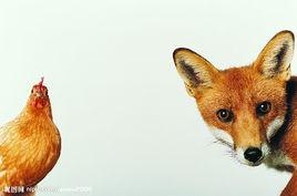 雞犬相聞 雞犬相聞