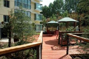 盛世桃園 盛世桃園