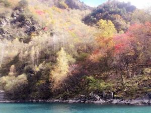 疊溪松坪溝生態旅遊景區 疊溪松坪溝生態旅遊景區