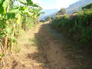 中會哈村 中會哈村