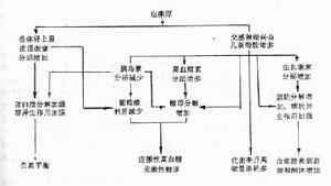 應激時糖、脂肪和蛋白質代謝的變化