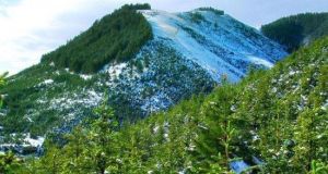 壽鹿山森林公園 壽鹿山森林公園