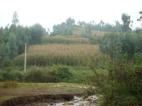 梨子園村 梨子園村