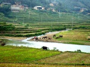 丫勒高寨村 丫勒高寨村